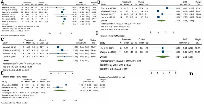 https://cdn.ncbi.nlm.nih.gov/pmc/blobs/c761/10570527/02f23e0c1f81/fphys-14-1190095-g004.jpg