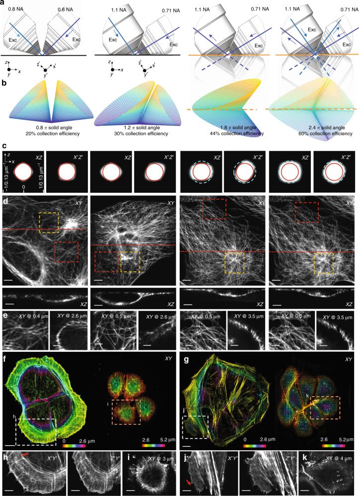 https://cdn.ncbi.nlm.nih.gov/pmc/blobs/c761/5682293/a6e6123c3d67/41467_2017_1250_Fig4_HTML.jpg