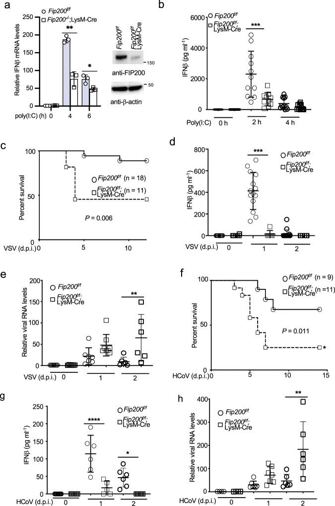 https://cdn.ncbi.nlm.nih.gov/pmc/blobs/c763/8322336/52166e4ae260/42003_2021_2450_Fig7_HTML.jpg