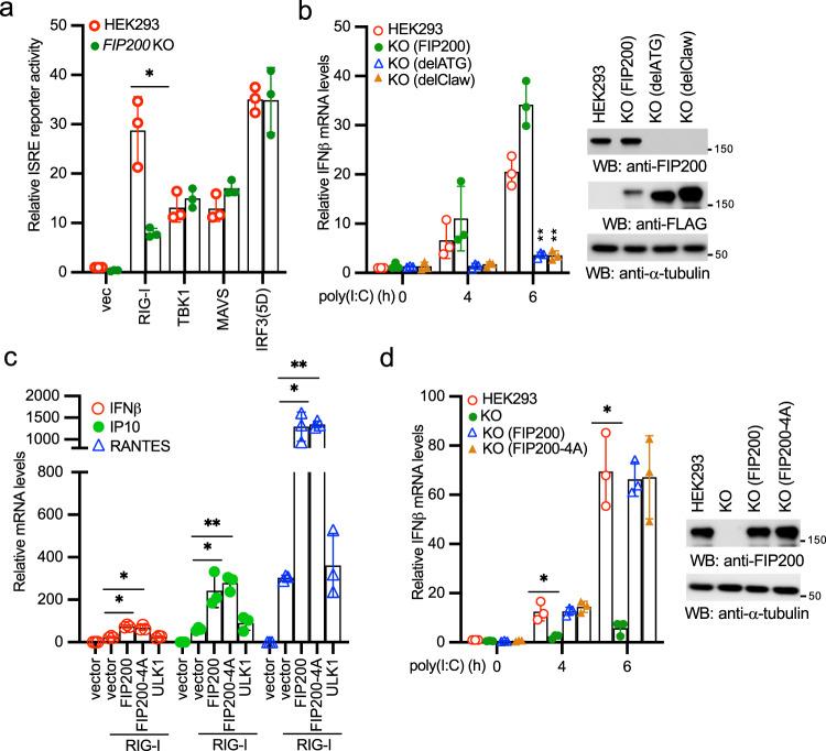 https://cdn.ncbi.nlm.nih.gov/pmc/blobs/c763/8322336/a70820889308/42003_2021_2450_Fig5_HTML.jpg