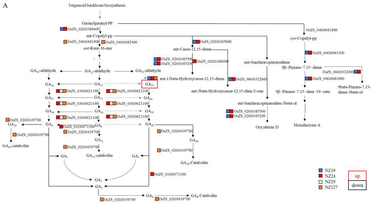 https://cdn.ncbi.nlm.nih.gov/pmc/blobs/c766/9231264/685b8629d675/plants-11-01570-g012a.jpg