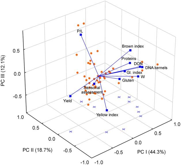 https://cdn.ncbi.nlm.nih.gov/pmc/blobs/c767/4928167/1acb25922ade/fmicb-07-01014-g0002.jpg