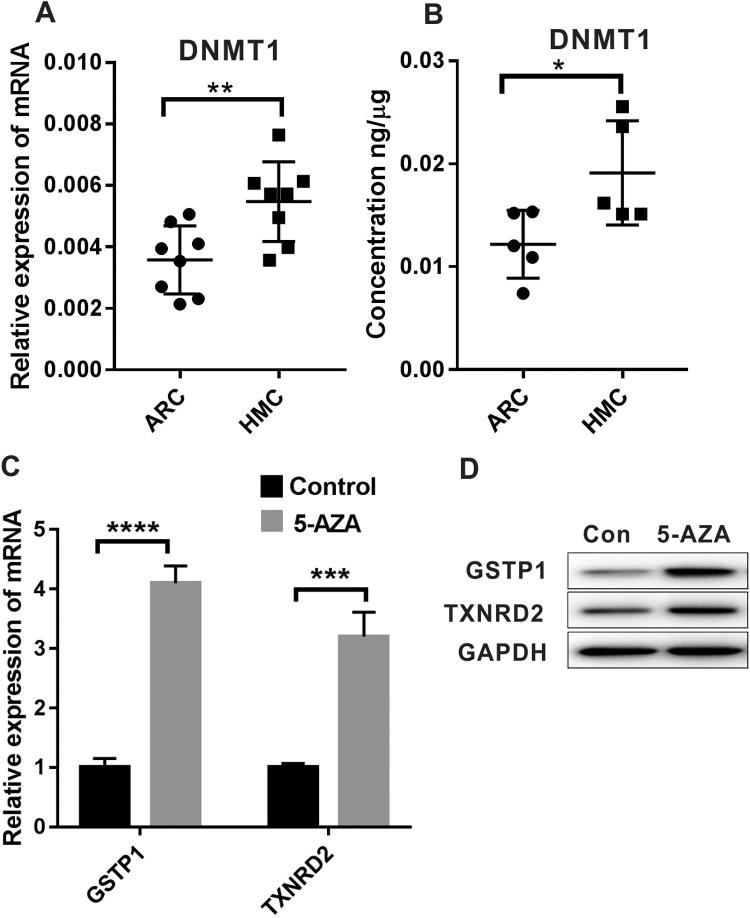 https://cdn.ncbi.nlm.nih.gov/pmc/blobs/c767/6122317/38b664349a9b/gr7.jpg