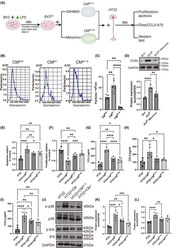 https://cdn.ncbi.nlm.nih.gov/pmc/blobs/c768/11324532/4952d7c0634c/CNS-30-e14924-g003.jpg