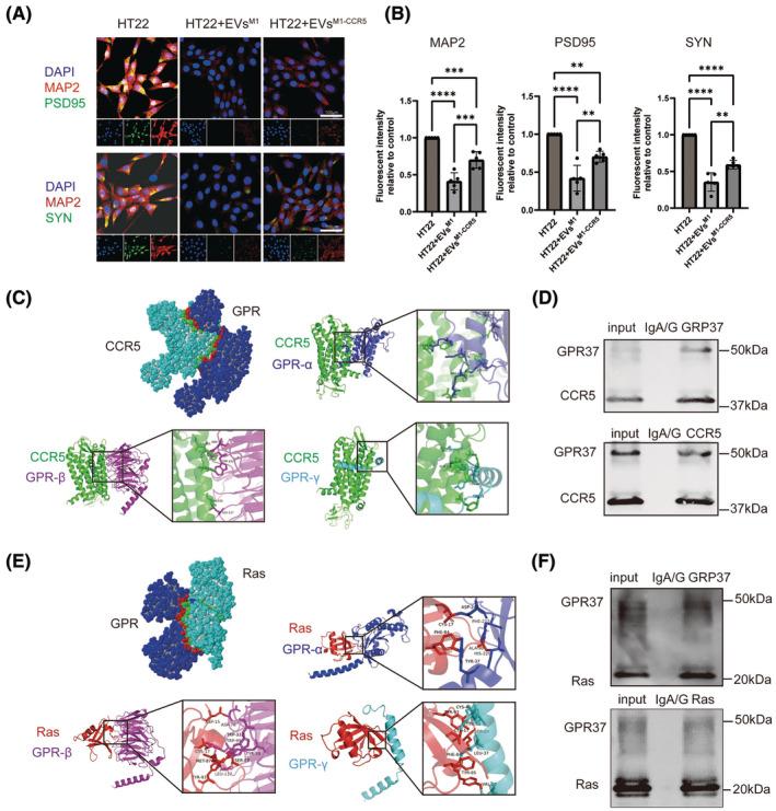 https://cdn.ncbi.nlm.nih.gov/pmc/blobs/c768/11324532/fc71f2b1d17f/CNS-30-e14924-g002.jpg