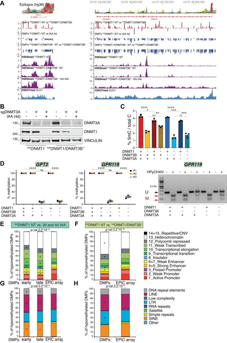 https://cdn.ncbi.nlm.nih.gov/pmc/blobs/c769/10876481/246205968b49/JCB_202307026_FigS3.jpg