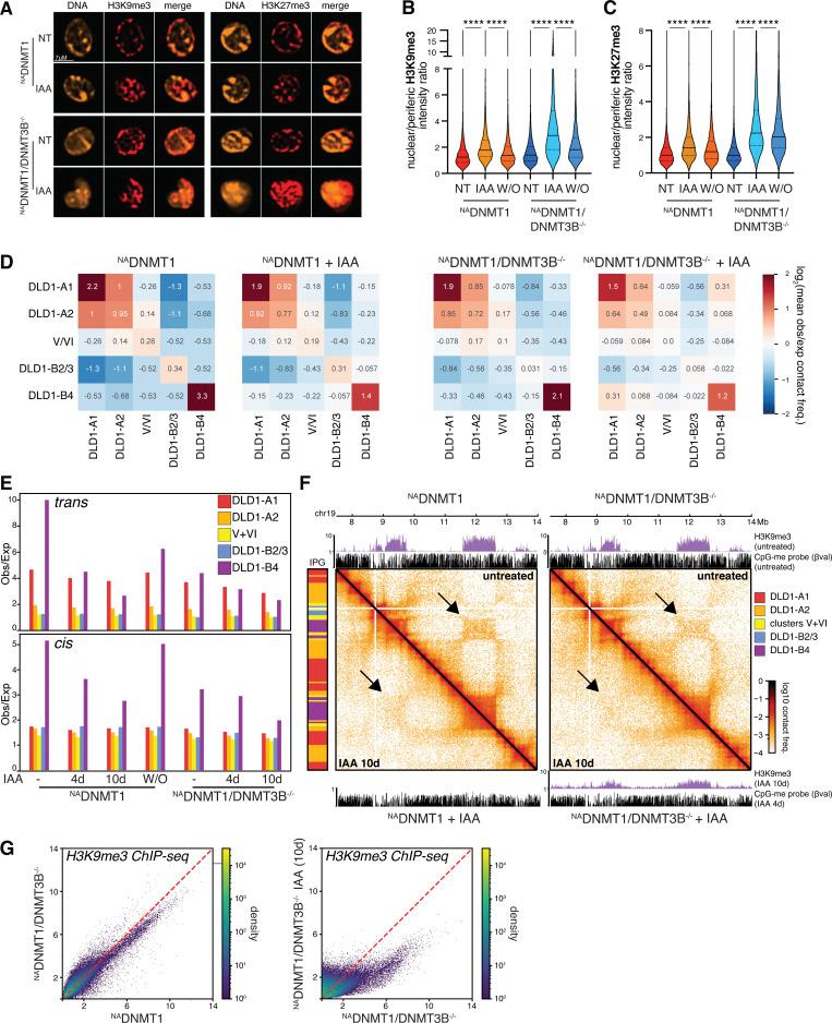 https://cdn.ncbi.nlm.nih.gov/pmc/blobs/c769/10876481/53f1db092236/JCB_202307026_Fig4.jpg
