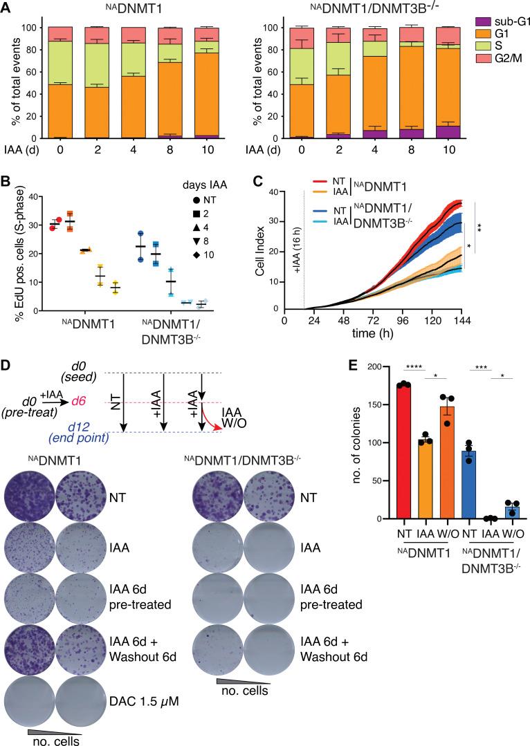 https://cdn.ncbi.nlm.nih.gov/pmc/blobs/c769/10876481/933eb39e2bcf/JCB_202307026_Fig3.jpg