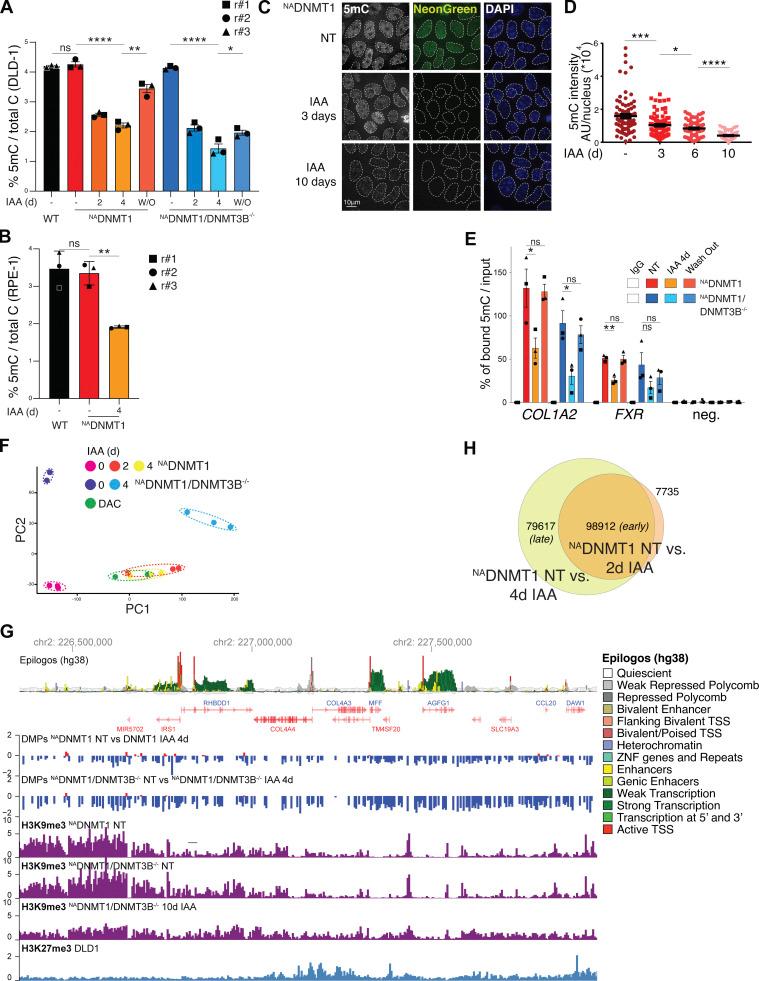 https://cdn.ncbi.nlm.nih.gov/pmc/blobs/c769/10876481/c576c66b415e/JCB_202307026_FigS2.jpg