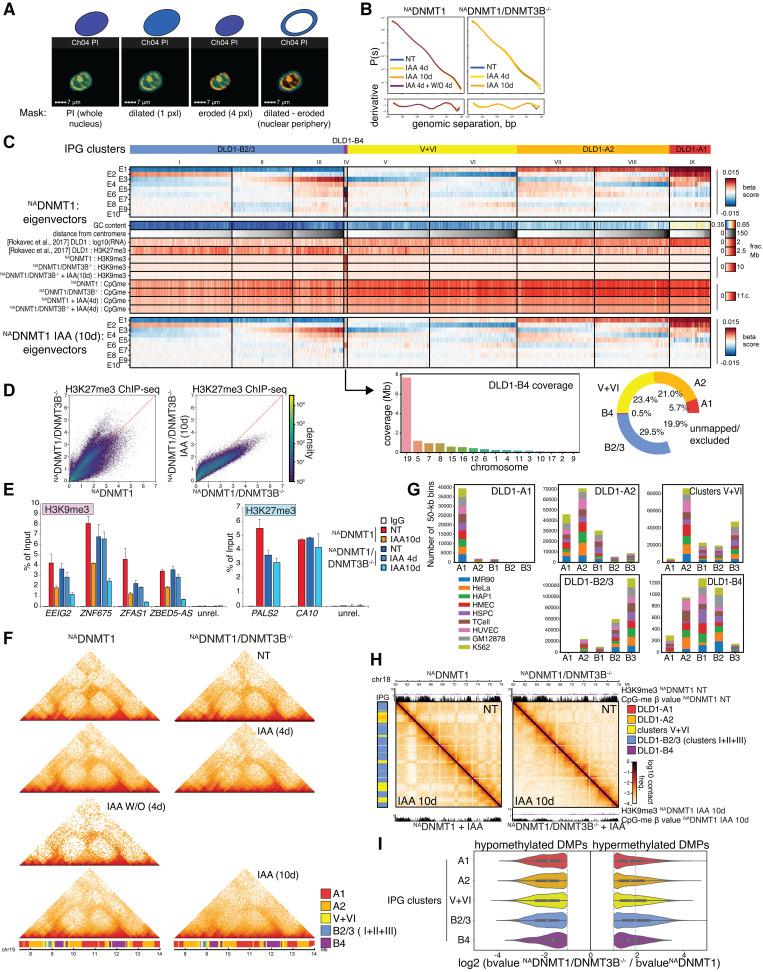 https://cdn.ncbi.nlm.nih.gov/pmc/blobs/c769/10876481/e28e4cae30b8/JCB_202307026_FigS5.jpg