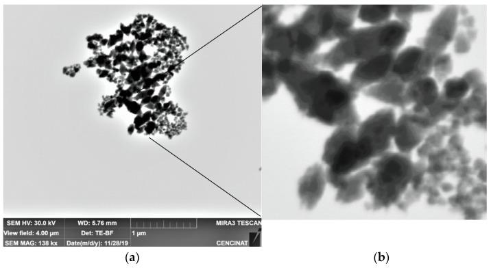 https://cdn.ncbi.nlm.nih.gov/pmc/blobs/c769/9182584/430a04ccdc3d/nanomaterials-12-01921-g007.jpg