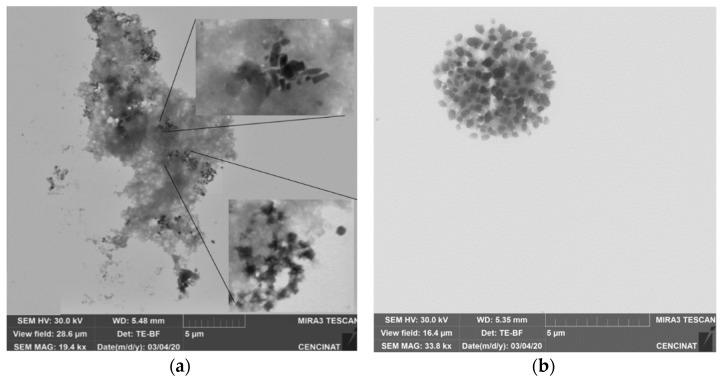 https://cdn.ncbi.nlm.nih.gov/pmc/blobs/c769/9182584/b785f91a6cbd/nanomaterials-12-01921-g003.jpg