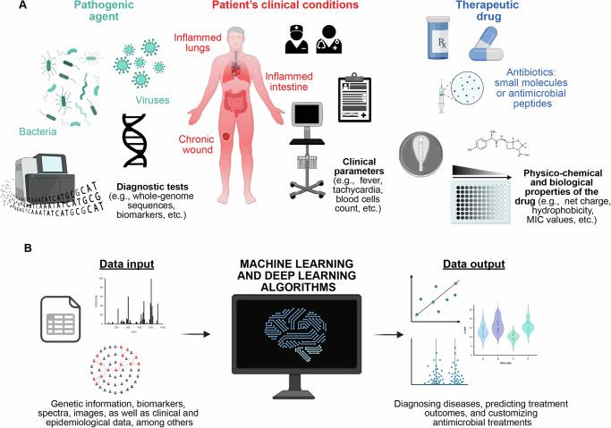 https://cdn.ncbi.nlm.nih.gov/pmc/blobs/c76c/11721440/fe8ab2ec2e6f/44259_2024_68_Fig2_HTML.jpg