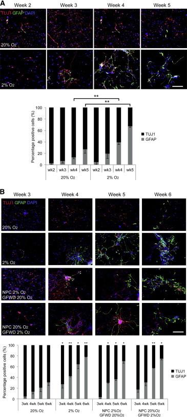 https://cdn.ncbi.nlm.nih.gov/pmc/blobs/c76c/4235163/9d782989c40e/gr2.jpg
