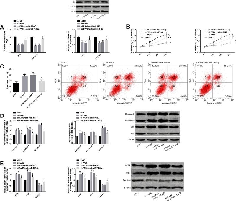https://cdn.ncbi.nlm.nih.gov/pmc/blobs/c76c/7269637/cb664cecd01c/CMAR-12-4073-g0006.jpg