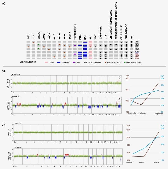 https://cdn.ncbi.nlm.nih.gov/pmc/blobs/c76d/6099279/cddc0dc0c582/IJC-143-1236-g002.jpg