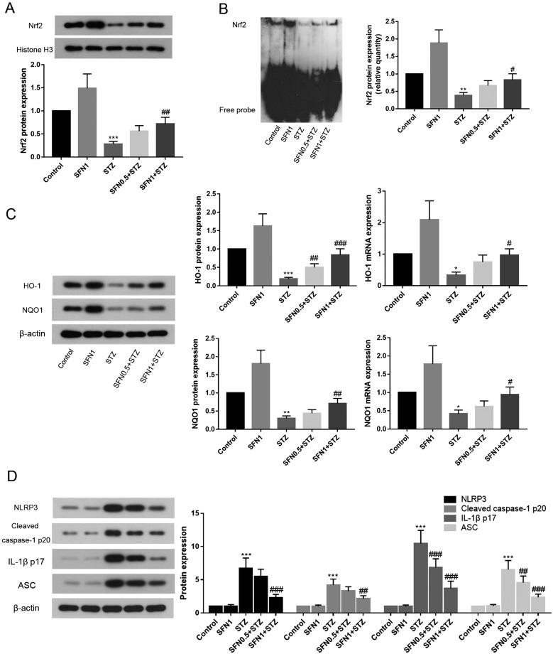 https://cdn.ncbi.nlm.nih.gov/pmc/blobs/c76e/6511524/e8662ab3566c/expanim-68-221-g003.jpg