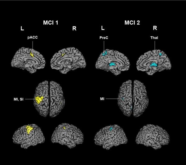 https://cdn.ncbi.nlm.nih.gov/pmc/blobs/c772/3009948/eb2dd1af07d8/1744-9081-6-71-3.jpg