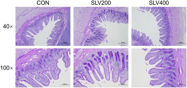 https://cdn.ncbi.nlm.nih.gov/pmc/blobs/c773/12353698/27a9a06b0ddf/fimmu-16-1629044-g005.jpg