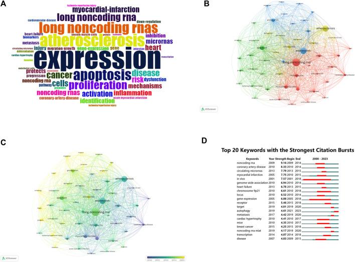 https://cdn.ncbi.nlm.nih.gov/pmc/blobs/c774/11317247/396a92307514/fmolb-11-1382772-g006.jpg