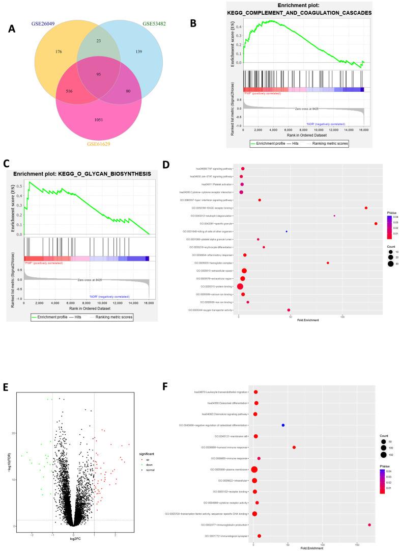 https://cdn.ncbi.nlm.nih.gov/pmc/blobs/c774/8034969/a492ea30f42e/aging-13-202635-g004.jpg