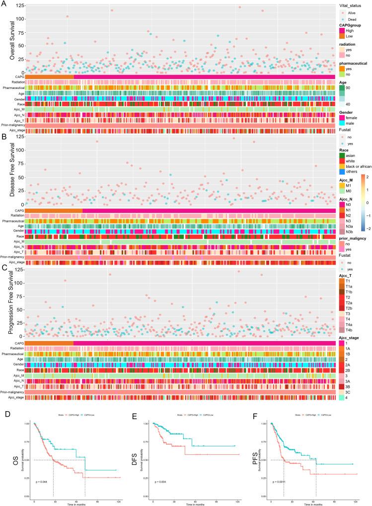 https://cdn.ncbi.nlm.nih.gov/pmc/blobs/c779/10774411/62a97d13a0e9/41420_2023_1767_Fig3_HTML.jpg