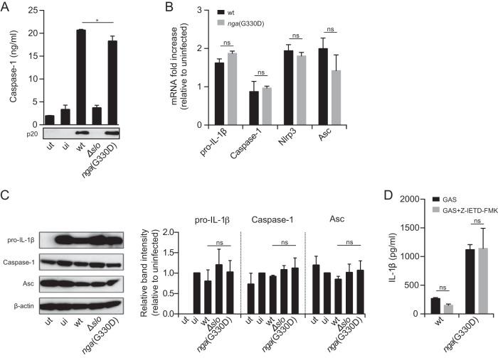https://cdn.ncbi.nlm.nih.gov/pmc/blobs/c77c/5516252/bf043bc5cb8a/mbo0041733850004.jpg