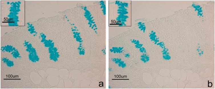 https://cdn.ncbi.nlm.nih.gov/pmc/blobs/c77c/7023309/e0459a03e47d/animals-10-00149-g002.jpg
