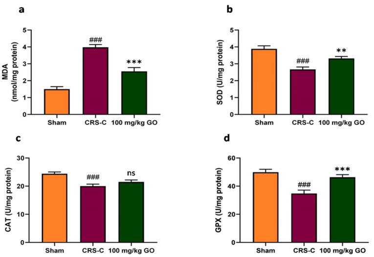 https://cdn.ncbi.nlm.nih.gov/pmc/blobs/c77e/12013966/2350ebbd7d11/AJP-15-890-g006.jpg