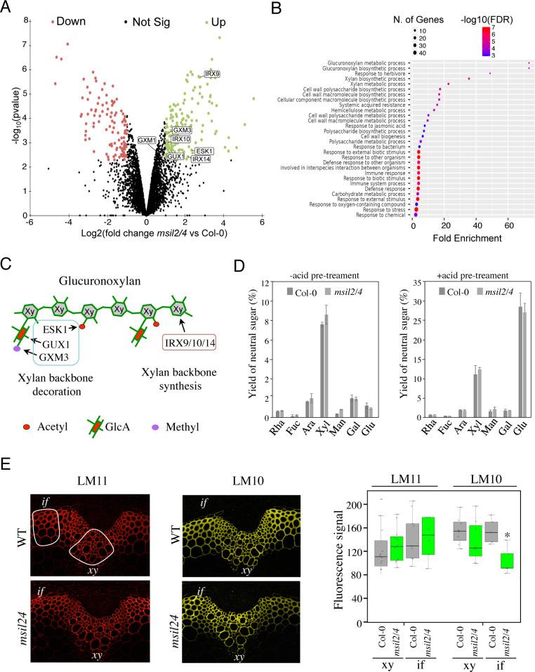 https://cdn.ncbi.nlm.nih.gov/pmc/blobs/c77f/10541177/3a7268a3b7f9/elife-88207-fig5.jpg