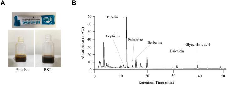 https://cdn.ncbi.nlm.nih.gov/pmc/blobs/c780/8429799/3924e1999381/fphar-12-698887-g002.jpg