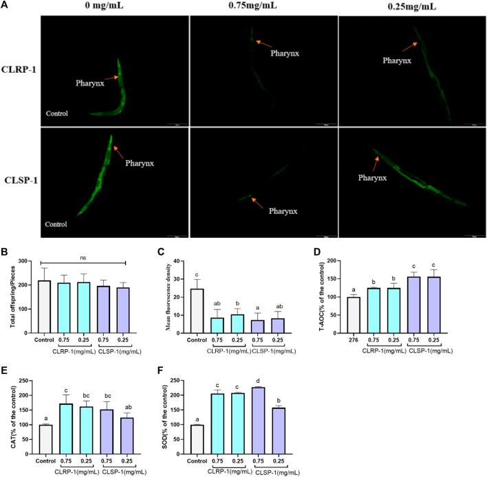 https://cdn.ncbi.nlm.nih.gov/pmc/blobs/c781/9449496/b0fe14ce1ed1/fphar-13-937581-g005.jpg