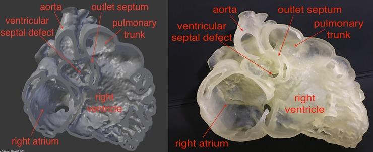 https://cdn.ncbi.nlm.nih.gov/pmc/blobs/c782/5862481/01fffa92ff11/pone.0194333.g004.jpg