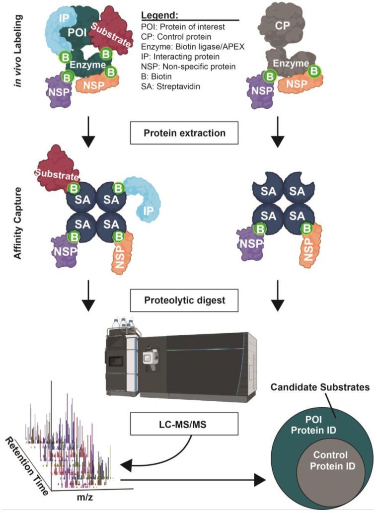 https://cdn.ncbi.nlm.nih.gov/pmc/blobs/c783/10180314/b6e2141fdc61/molecules-28-03675-g003.jpg
