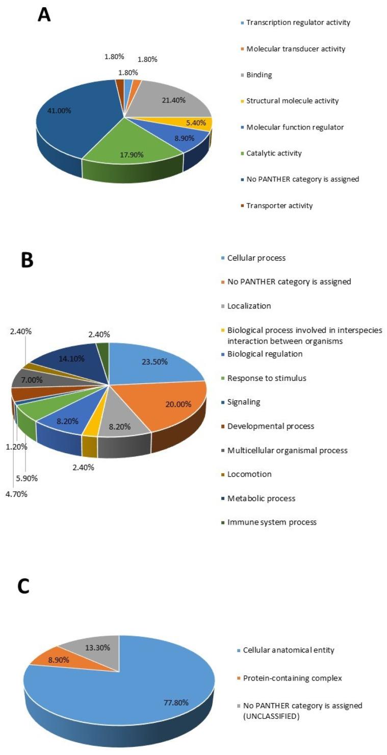 https://cdn.ncbi.nlm.nih.gov/pmc/blobs/c784/12286002/676230e5f708/proteomes-13-00032-g004.jpg