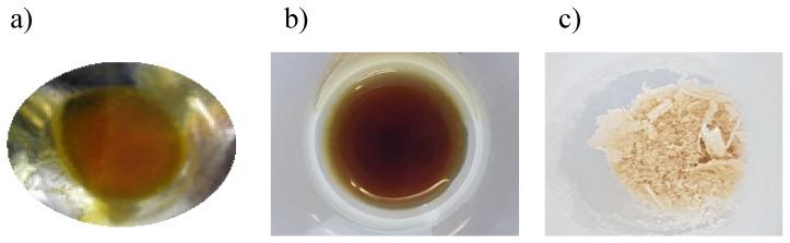 https://cdn.ncbi.nlm.nih.gov/pmc/blobs/c784/7956807/08f13a50c1e5/ijms-22-02371-g003.jpg