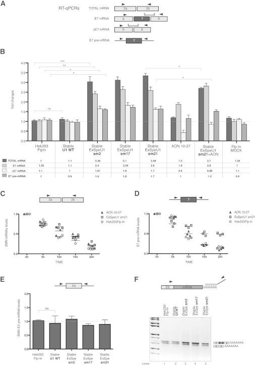 https://cdn.ncbi.nlm.nih.gov/pmc/blobs/c787/4289686/fed72f905e72/gr2.jpg