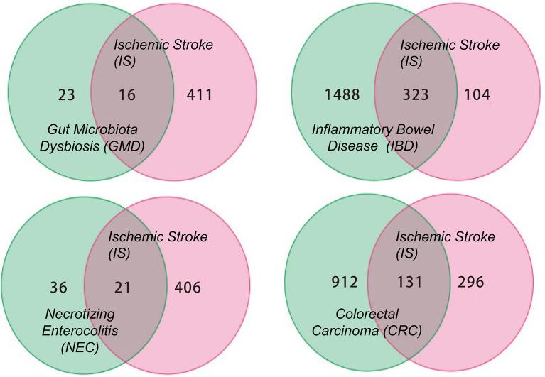 https://cdn.ncbi.nlm.nih.gov/pmc/blobs/c789/9010780/495c4d4c5a10/fimmu-13-688619-g002.jpg