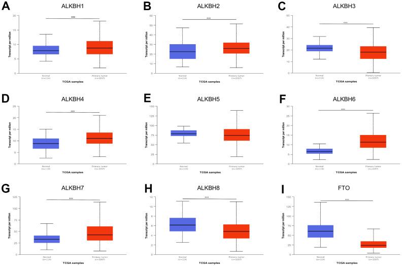 https://cdn.ncbi.nlm.nih.gov/pmc/blobs/c78b/9467415/827621450902/aging-14-204231-g001.jpg