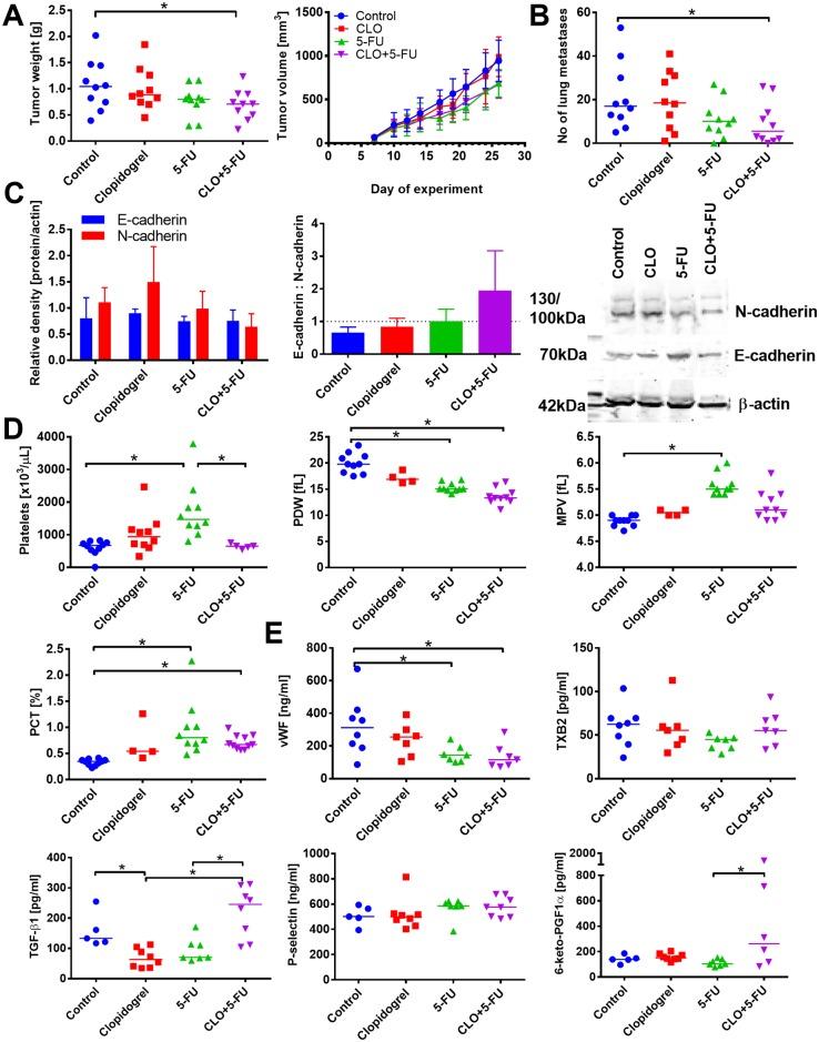 https://cdn.ncbi.nlm.nih.gov/pmc/blobs/c78c/5716579/31d158077786/pone.0188740.g001.jpg
