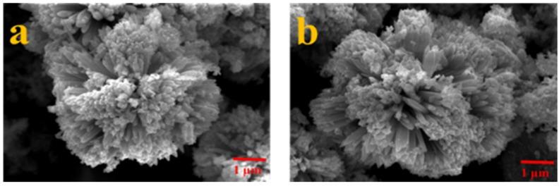 https://cdn.ncbi.nlm.nih.gov/pmc/blobs/c78d/5333021/4de24024df28/nanomaterials-07-00036-g003.jpg