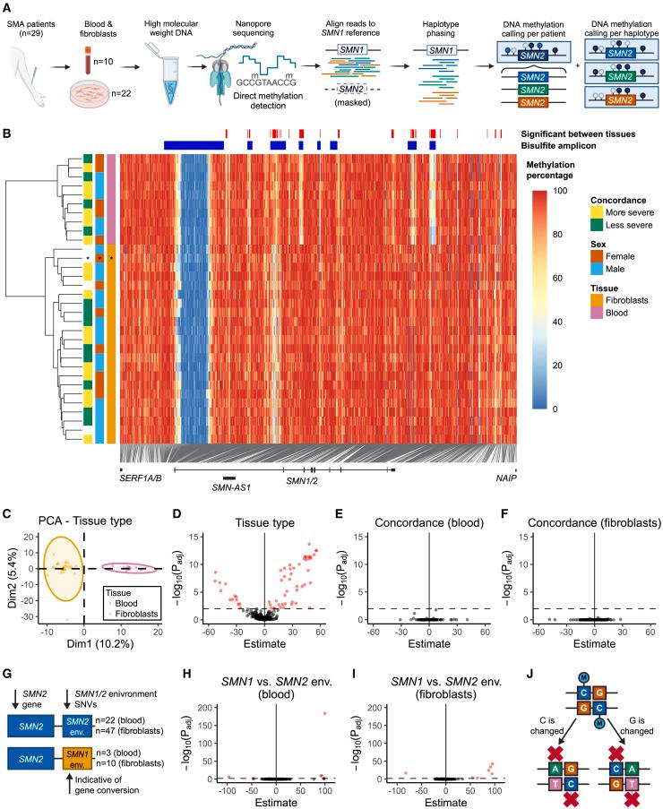 https://cdn.ncbi.nlm.nih.gov/pmc/blobs/c78f/12084074/bc250e27c68c/gr1.jpg