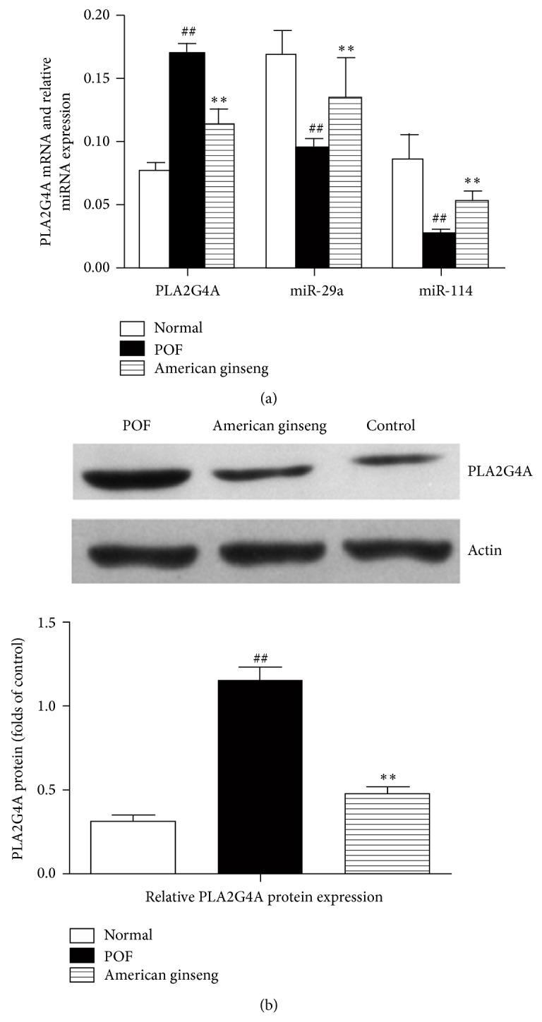 https://cdn.ncbi.nlm.nih.gov/pmc/blobs/c791/4330957/4f58e06f794f/BMRI2015-767124.001.jpg