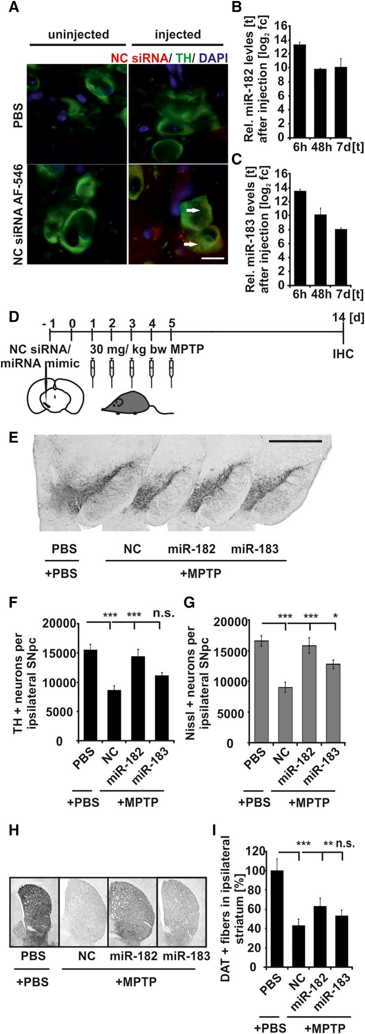 https://cdn.ncbi.nlm.nih.gov/pmc/blobs/c792/5849806/078fc2902184/gr7.jpg