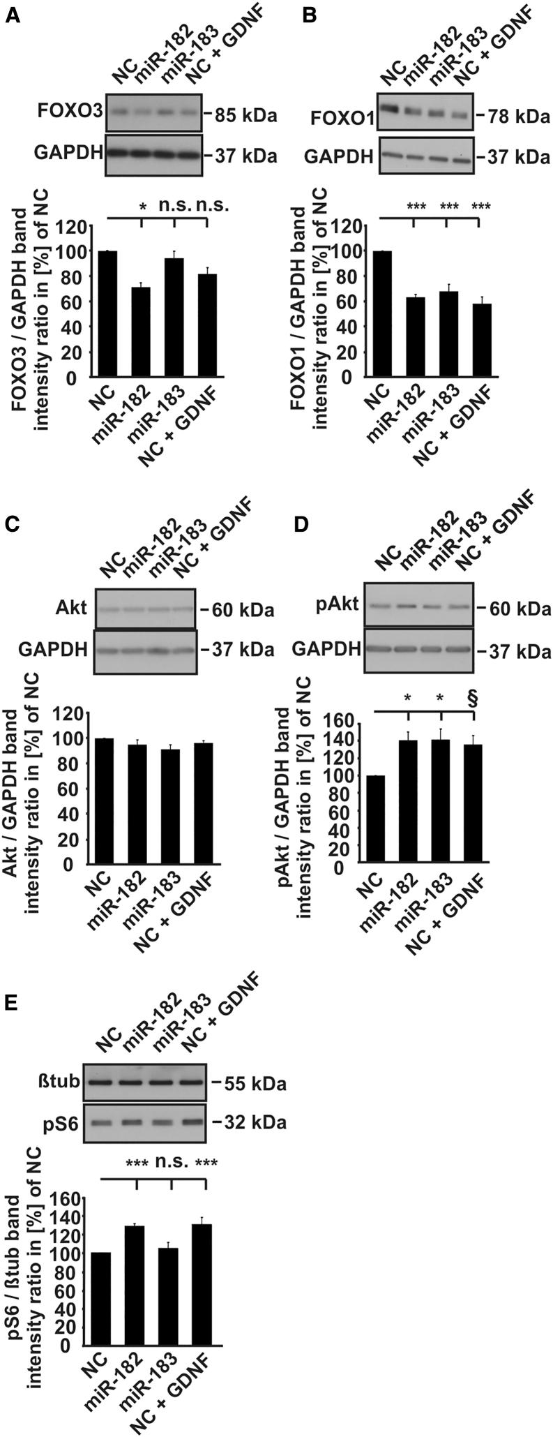 https://cdn.ncbi.nlm.nih.gov/pmc/blobs/c792/5849806/627e27fdd49f/gr5.jpg