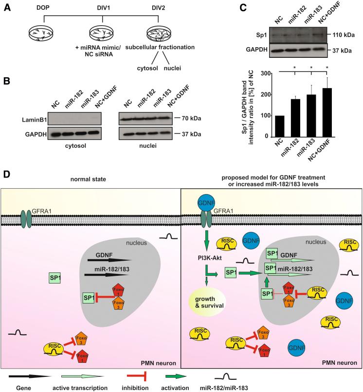 https://cdn.ncbi.nlm.nih.gov/pmc/blobs/c792/5849806/694f3d953c34/gr6.jpg