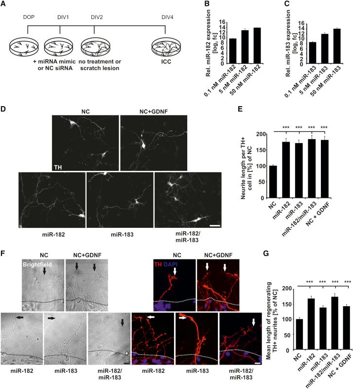 https://cdn.ncbi.nlm.nih.gov/pmc/blobs/c792/5849806/8eb59682e437/gr2.jpg