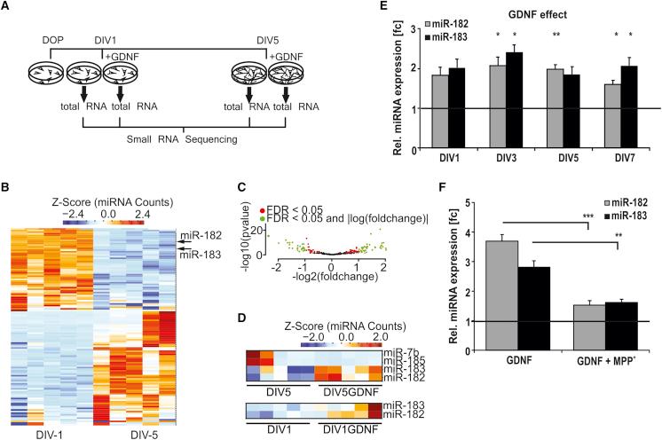 https://cdn.ncbi.nlm.nih.gov/pmc/blobs/c792/5849806/947a89c2c6f5/gr1.jpg