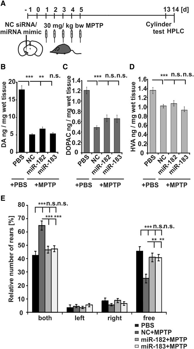 https://cdn.ncbi.nlm.nih.gov/pmc/blobs/c792/5849806/cb1c3757ed90/gr8.jpg