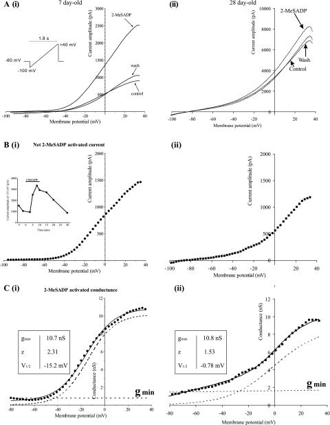 https://cdn.ncbi.nlm.nih.gov/pmc/blobs/c793/3289470/baae96090096/z9k0031211910002.jpg